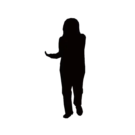 silhouette, the outline of a woman, figure, the outline of a woman's figure, silhouette girl full height