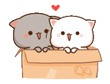 cartun kat chibi, kucing persik mochi, kucing kawaii, gambar kucing lucu, kawaii kucing pasangan