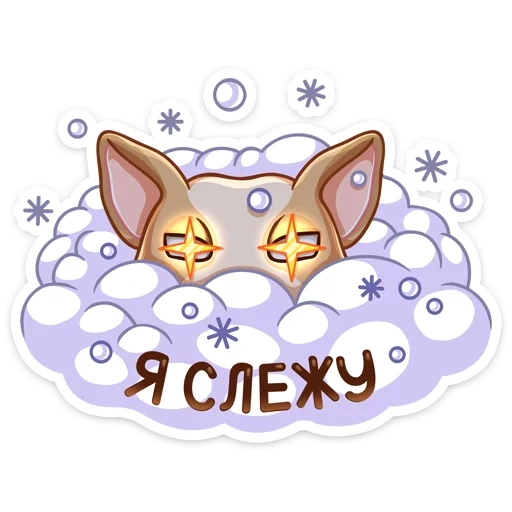 cat, fox, lovely, funny, fennec fox