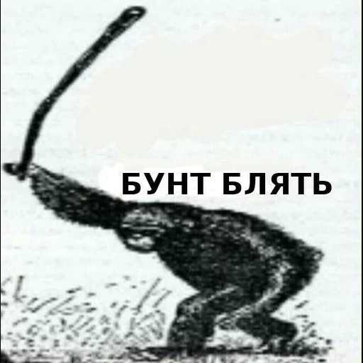 singe émeute, singe anti-émeute avec un bâton