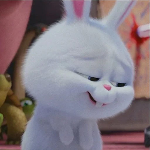 hase, bunny ist süß, kaninchen schneeball, letztes leben des heimkabbits, kleines leben von haustieren kaninchen