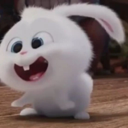 kaninchen schneeball, das geheime leben der haustiere, schneeball letzte lebens von haustieren, kleines leben von haustieren kaninchen, letztes leben von haustieren schneeball
