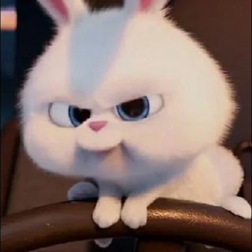 angry rabbit, dear rabbit, rabbit snowball, the evil rabbit of the cartoon, little life of pets rabbit