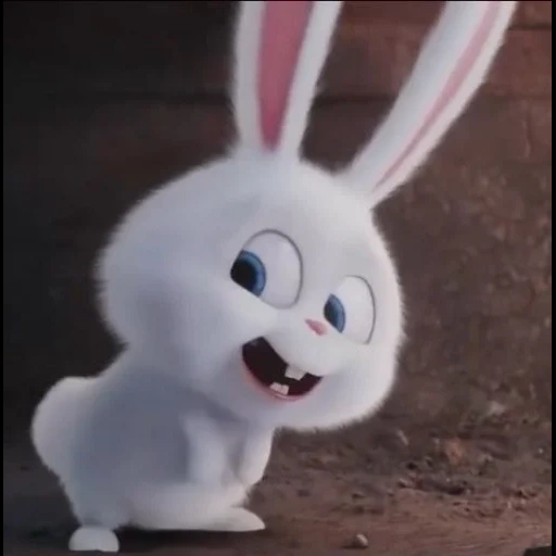 bola de nieve de conejo, bola de nieve de conejo vida secreta, bola de nieve de conejo de dibujos animados de conejo, vida secreta del conejo mascota, vida secreta de bola de nieve de conejo mascota
