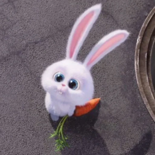 kelinci, kelinci manis, kelinci yang marah, banny rabbit, kelinci yang indah