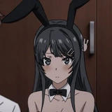 BunnyManiSakurajima