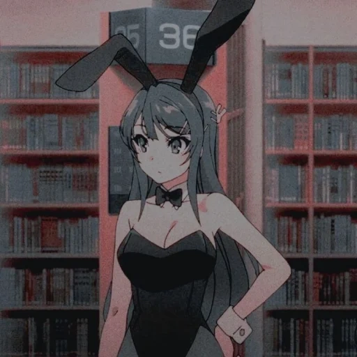 personagem de anime, seishun buta yarou wa bunny, seishun buta yarou wa bunny girl, porcos não entendem o sonho de coelhinhas, porcos estúpidos não entendem o sonho da menina coelho 1x02 data original em 1 de abril de 2013