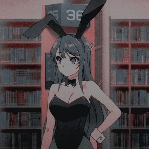 personajes de anime, seishon buta yarou wa bunny, seishon buta yarou wa girl girl, el cerdo no entiende el sueño de un conejito de la niña, el cerdo estúpido no entiende el sueño de una chica dieta temporada 1 episodio 2