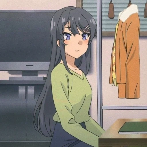 anime, sakurajima, miki sakurajima, personnages d'anime, seishun buta yarou