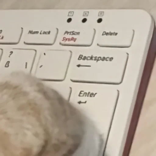 teclado, teclado, mouse de teclado, dedos al teclado, llaves de control
