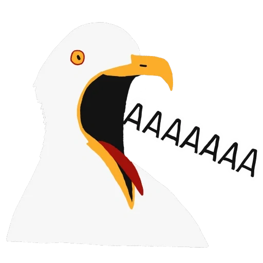 gaivota, boca de gaivota, pássaro de gaivota, gaivota gritando, gaivota gritando