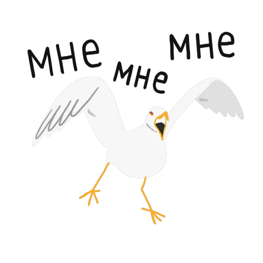 engraçado, gaivota branca, pássaro de gaivota, pássaro branco, gaivota branca