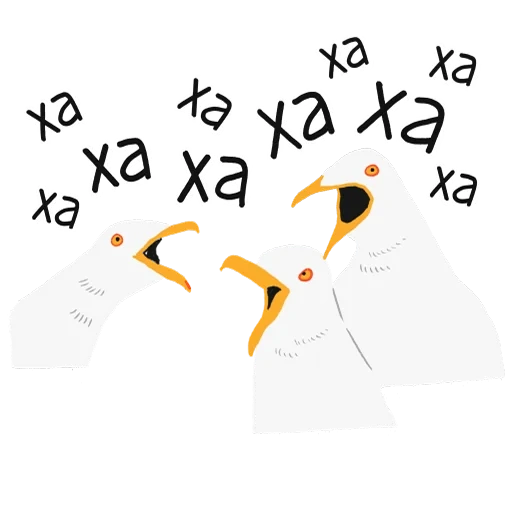 goose, gull, text, seagull sam