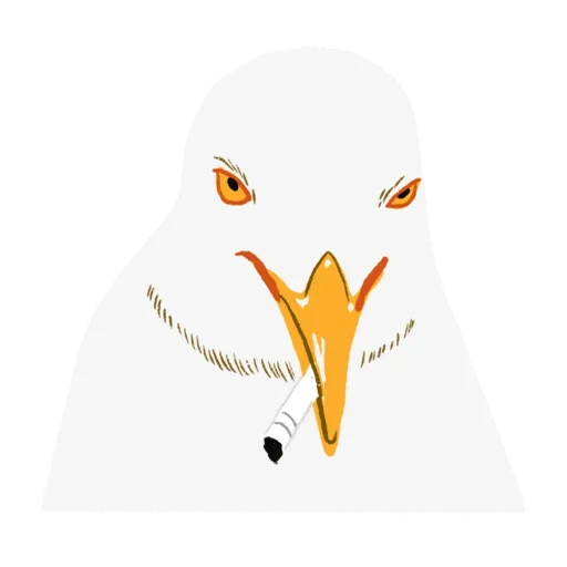 gaivota, menino, pássaro de gaivota, grande gaivota, rosto de gaivota