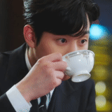 an hyo su, kim se jeong, aktor korea, aktor kopi korea, drama saran bisnis