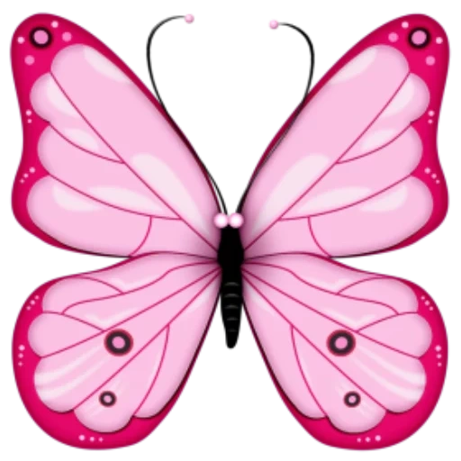 бабочка шаблон, крылья бабочки, бабочки розовые, бабочки бело розовые, розовая бабочка белом фоне