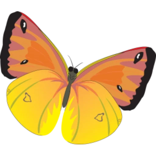 бабочки, бабочка рисунок, бабочка мультяшный, желтая бабочка детей, бабочки желтые печати