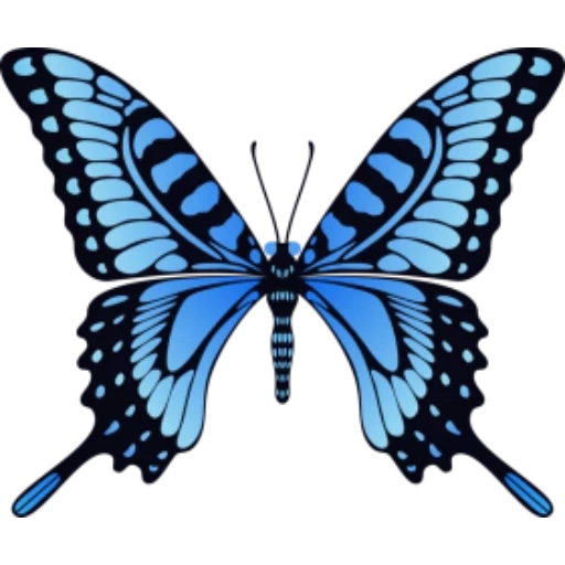 бабочка, бабочка махаон, голубая бабочка, бабочка махаон трафарет, изолированная голубая бабочка