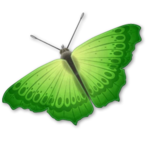 бабочка лист, бабочка бабочка, зеленая бабочка, зеленая бабочка детей, зеленая бабочка белом фоне