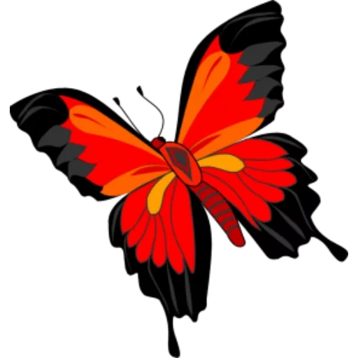бабочки, монарх бабочка, бабочка мотылек, бабочка бабочка, иллюстрация красная бабочка
