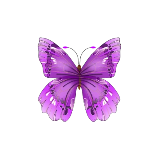 бабочка бабочка, бабочки розовые, сиреневые бабочки, бабочки фиолетовые, бабочка фиолетовыми кружочками