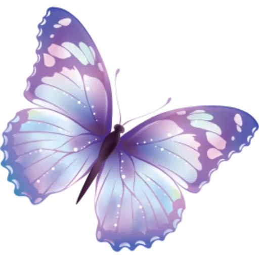 синяя бабочка, голубая бабочка, бабочка картина, сиреневые бабочки, бабочки белом фоне