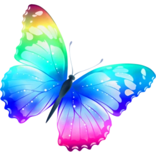 бабочка синяя, бабочка картина, цветные бабочки, радужная бабочка, разноцветные бабочки