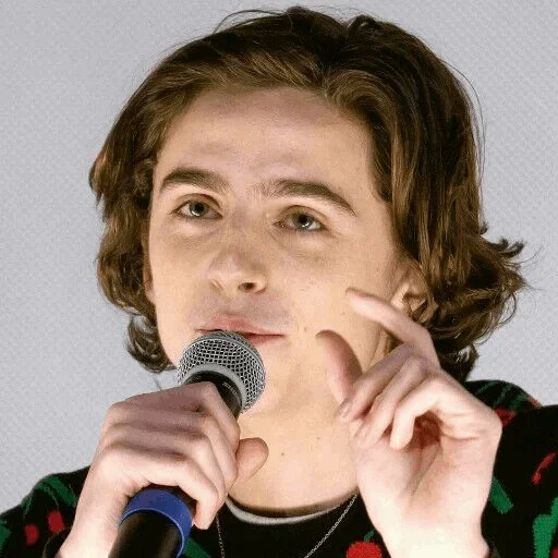 timothee, тимоти шаламе, красивый мальчик, timothee chalamet, знаменитости актеры