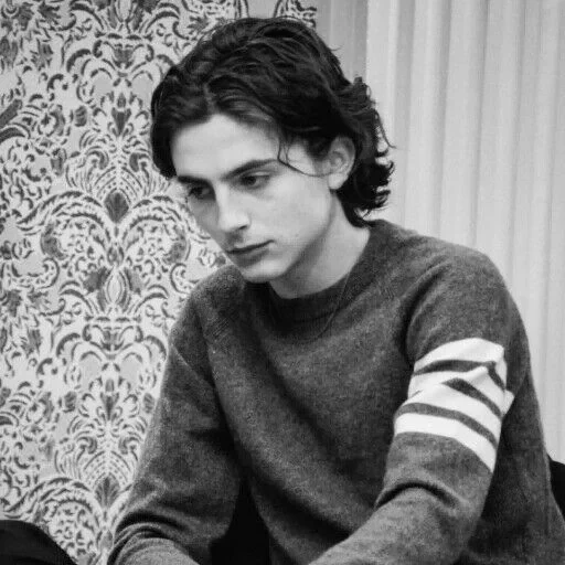 парень, timothee, тимоти шаламе, тимоти шаломе профиль, timothee chalamet свитер