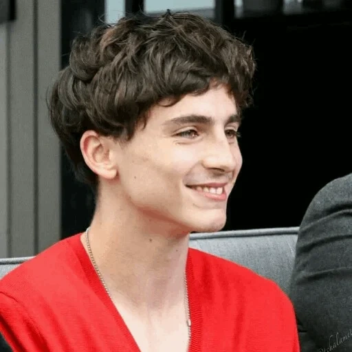 timothee, тимоти шаламе, timothee chalamet, тимоти шаламе 2018, elio chalamet беллами