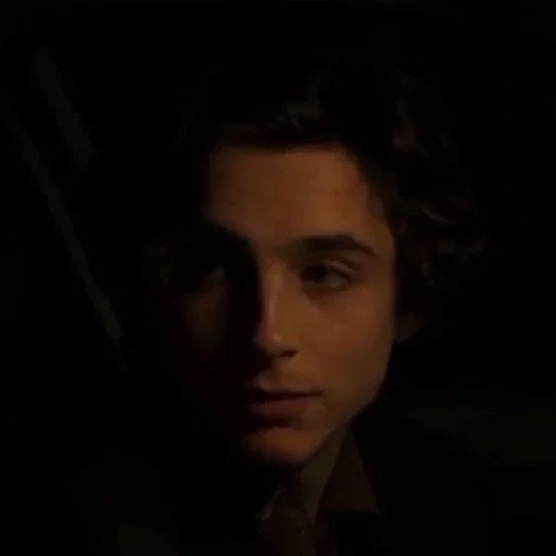 парень, тимоти шаламе, мальчики актеры, timothee chalamet lady bird, timothée chalamet джонни депп