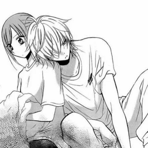 manga, art manga, anime pairs of manga, an ideal couple of manga, naruse shou perfect couple
