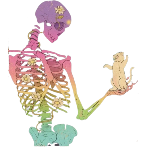 скелет, человеческий скелет, анатомический скелет, анатомическая модель скелета, анатомический скелет человека