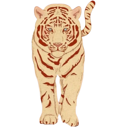 тигр, тигр 2022, белый тигр, тигр золотой, тигр векторный