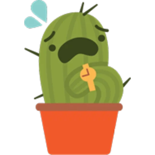 kaktus, kaktus yang lucu, nopal, cactus smiley pot