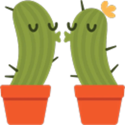cactus, concombre de cactus, les cactus aiment, nopal, pot de cactus smiley