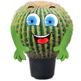 cactus @rpynnaTon