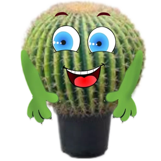 cactus, cactus, cactus divertente, pianta di cactus, cactus fresco