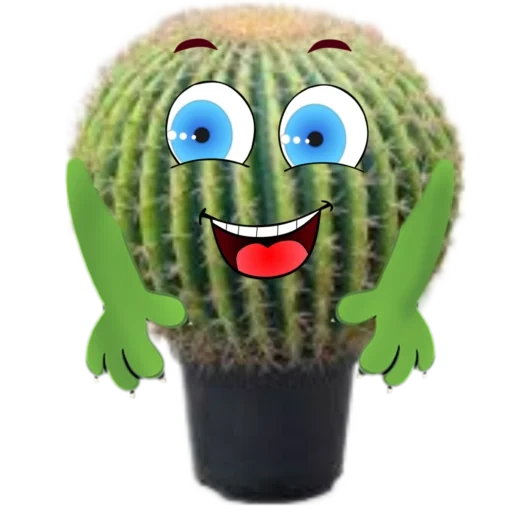 cacto, cacto, cacto divertido, cactus, cacto legal