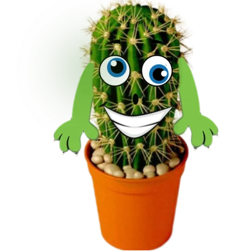 cactus, mezcla de cactus, super cactus, cactus arkady, cactus mezcla con los ojos