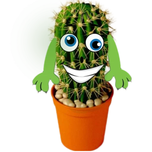 cactus, cactus mixed packing, super cactus, cactus, cactus mixed eyes