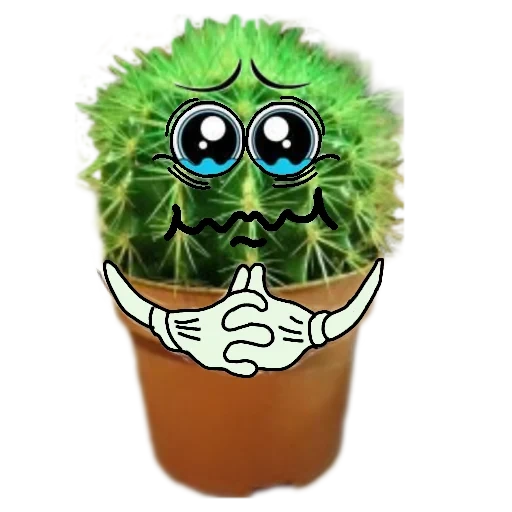 kaktus, kaktus yang lucu, kaktus yang mengerikan, kaktus dengan mata, campur kaktus dengan mata