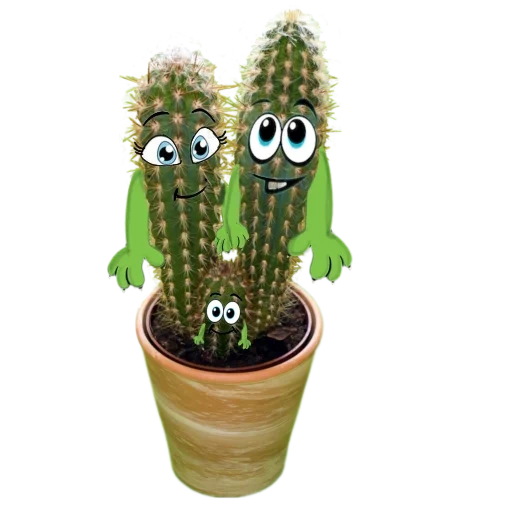 cactus, cactus cantanti, cactus divertente, occhi di cactus, giocattolo ripetuto di cactus