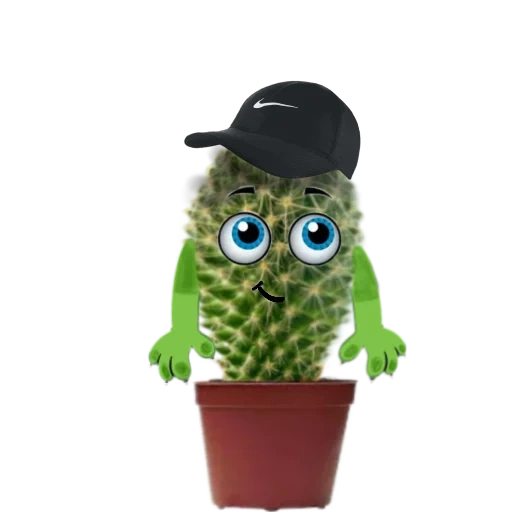 cactus, cactus vasya, cactus jouet, un terrible cactus, jouet cactus dansant