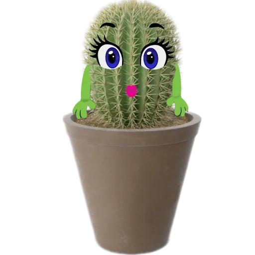kaktus, toko cactus, kaktus yang lucu, kaktus dengan mata, kaktus kecil