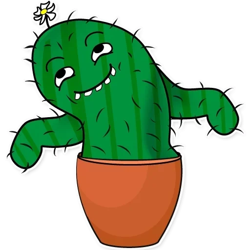 kaktus, kaktus jahat, kaktus yang ceria, kaktus sedih