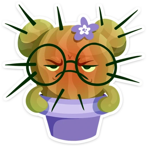 cactus, domestic plant
