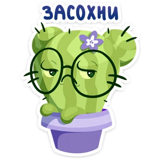 cactus, cactus, cactus tusya