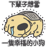 hieroglyphs, dogs are cute, cute animals, walking dogs of japan