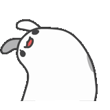 white, rabbit, white hare, cool rabbit
